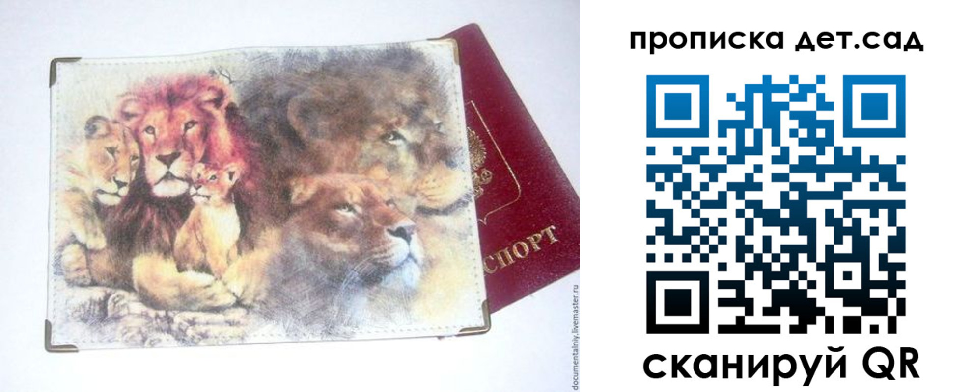 прописка регистрация в ЕАО